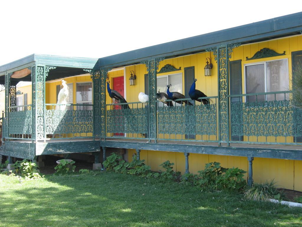 Shady Lady Bed And Breakfast Scottys Junction Exteriér fotografie